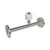 Đồng hồ đo lưu lượng ACS FLOWGAS® TMS 300